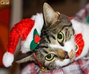 пазл Кот в шляпе Санта-Клауса